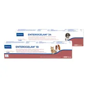 Enterogelan Pasta 24 ml.