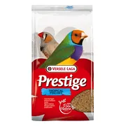 Prestige Tropische Vogel