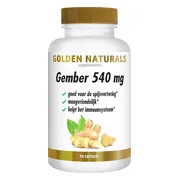 Golden Naturals Gember 300 mg 90 capsules