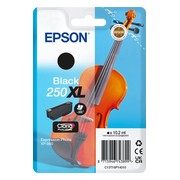 Epson 250XL Cartridge Zwart