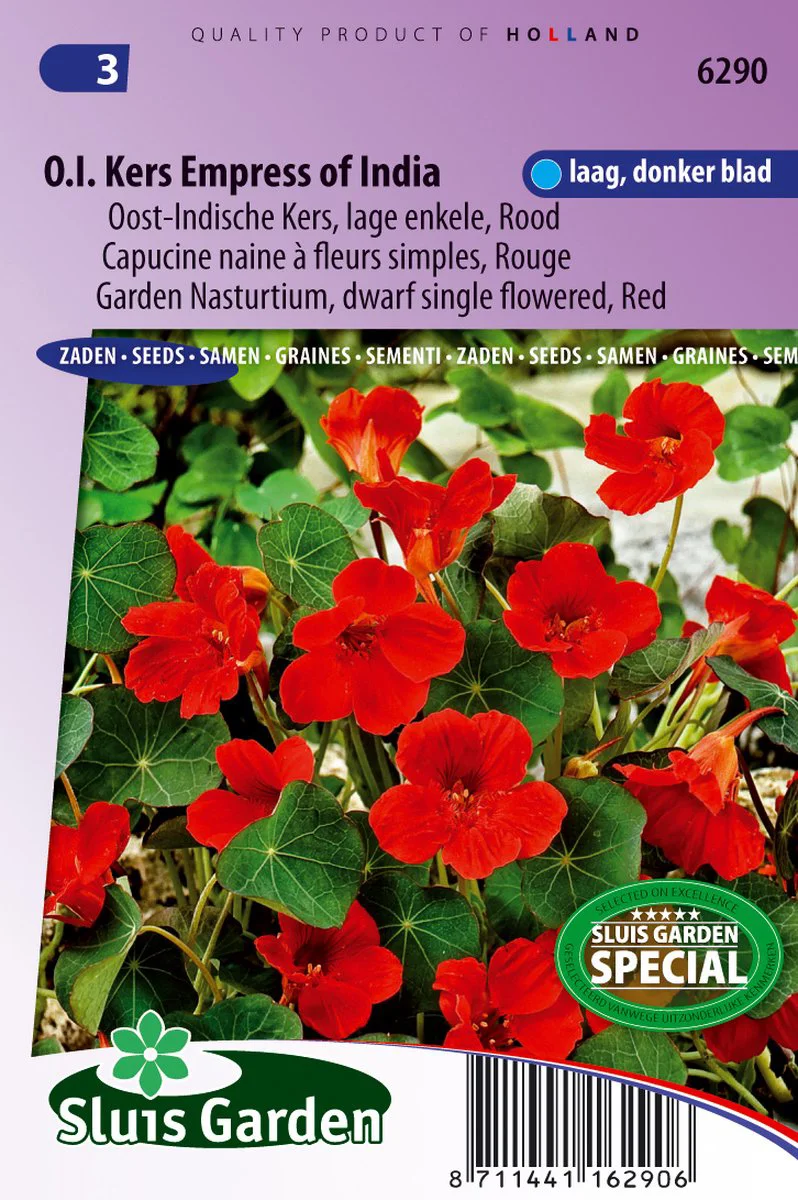 Sluis Garden - Oost-Indische kers Empress of India Rood, lage enkelbloemig