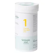 Pfluger Celzout 01 Calcium Fluoratum D12 Tabletten 400TB