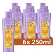 6x Andrélon Shampoo Perfecte Krul 250 ml