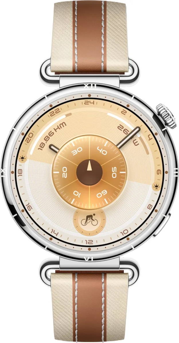 Huawei Watch GT 6 41 mm Zilver/Bruin