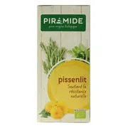 Piramide Paardenbloem Kruidenthee 20ZK