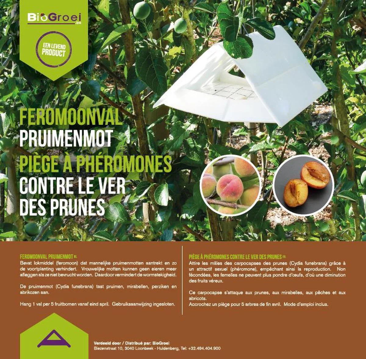 Biogroei Feromoonval voor monitoring van de pruimenmot (inclusief 2 feromooncapsules)