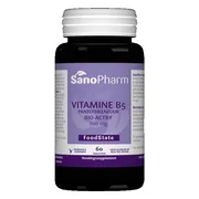 Sanopharm B5 100mg Tabletten 60TB