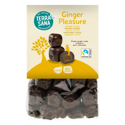 Terrasana Ginger Pleasure Choco Bio 150GR