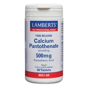 Lamberts Calcium Pantothenaat 500 mg Time Release Tabletten 60TB