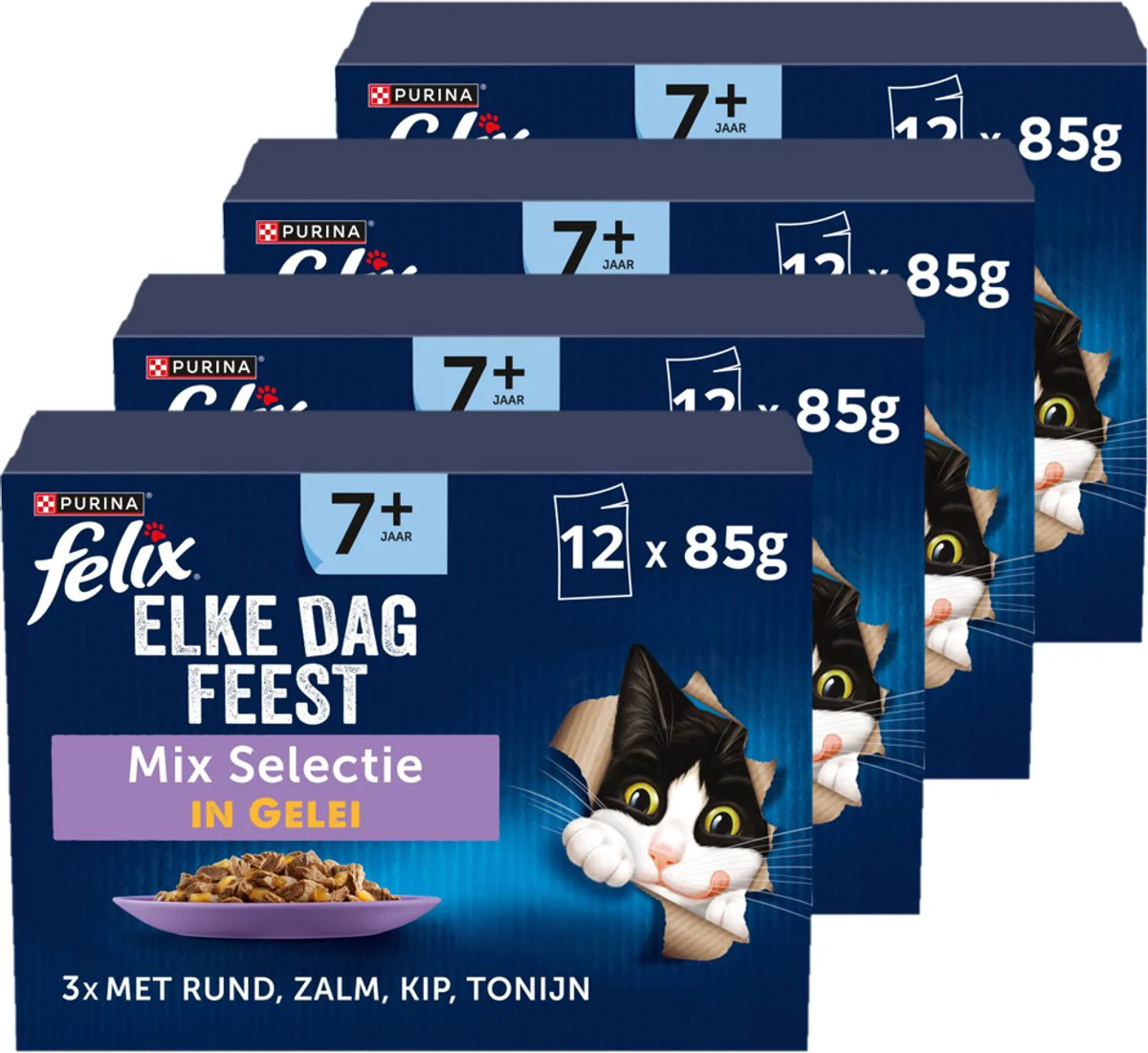 Felix Elke Dag Feest 7+ Senior Mix Selectie - Kattenvoer Natvoer - Zalm Tonijn Kip & Rund - 48 x 85 g
