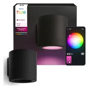 Philips Hue Muscari Muurspot Buiten