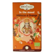 Shoti Maa Thee In The Mood 16ST