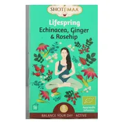 Shoti Maa Lifespring Thee Enchinacea, Ginger & Rosehip 16ST