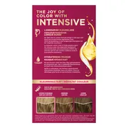 Poly Palette Intensive Crème Color 500 Donkerblond 115ML