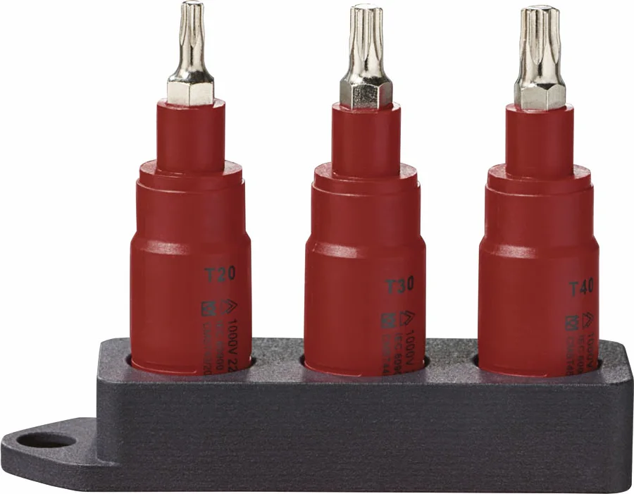 PARKSIDE Ratel, bit- of doppenset (Bitset/torx)