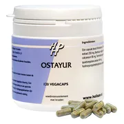 Holisan Ostayur Capsules 120st 120CP