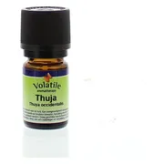 Volatile Thuja (Thuja Occidentalis) 5ML