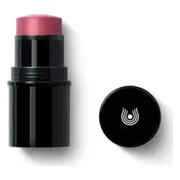 Dr. Hauschka Lip to Cheek Rosewood 03 6.1GR