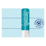 Dermolin Lip Repair & Protect SPF10 4,8GR