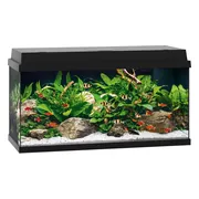 Juwel Primo 110 Aquarium - 81 x 36 x 45 cm -  110 L - Zwart