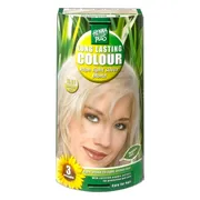 Hairwonder Long Lasting Colour 10.01 High Light Silver Blond 100ML