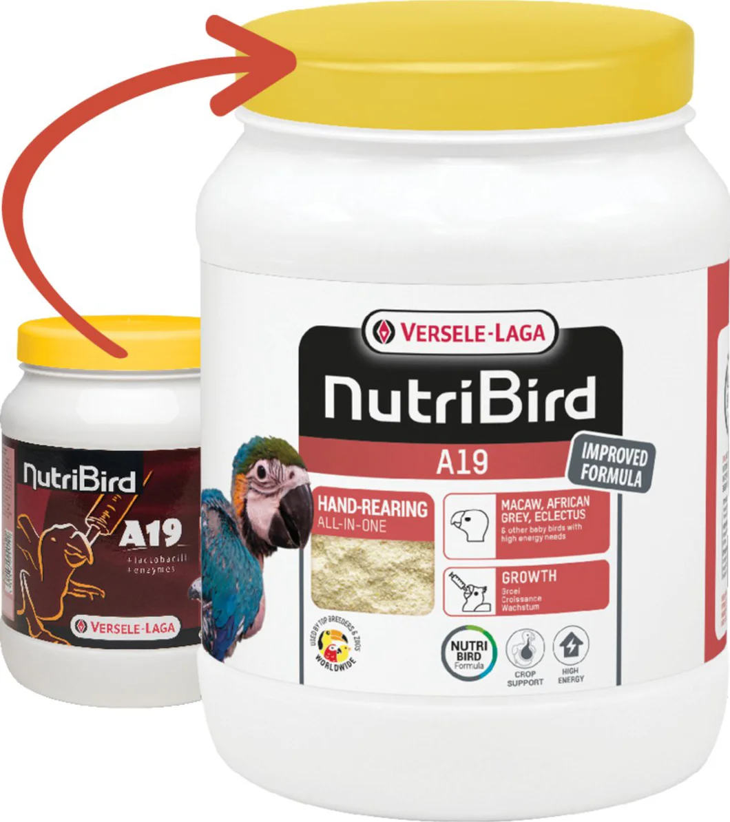Versele-Laga Nutribird A19 Papegaai - Vogelvoer - 800 g