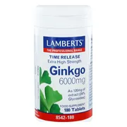 Lamberts Ginkgo 6000mg Time Release Tabletten 180TB
