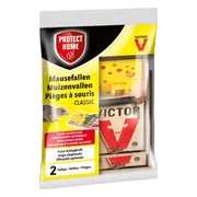 Protect Home Muizenvallen 2ST