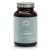 Mattisson HealthStyle L-Lysine+ met Vitamine C Capsules 90CP