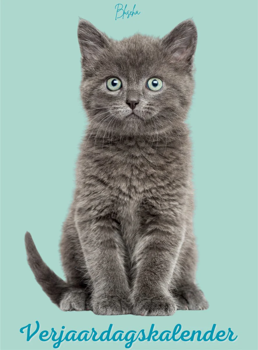 Verjaardagskalender Katten - Exclusieve Katten Illustraties - Kalender - Wandkalender - Maandkalender - Planner - Verjaardag - A4 Formaat - Jaarplanner - Zonder Jaartal - Verjaardagskalenders - Jaarkalender - Cats - Fantasy - Cat - Calendar - Kat
