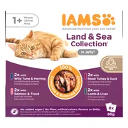 IAMS Delights Adult Land & Sea Jelly Multipack 8 x 85 gr