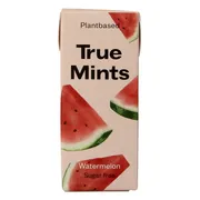 True Gum Mints Watermelon Pastilles 13GR