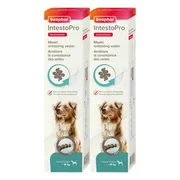 2x Beaphar IntestoPro Pasta Hond vanaf 15 kg 20 ml