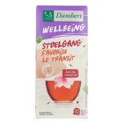 Damhert Stoelgang Thee 20ZK