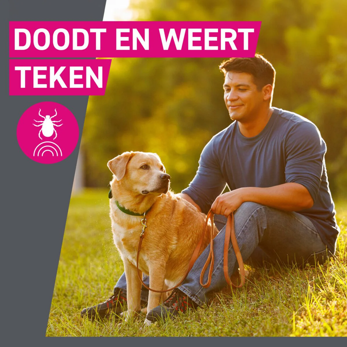 2x Frontline Tri-Act Anti Vlooien en Teken Druppels XL 3 pipetten