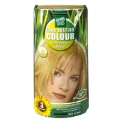 Hairwonder Long Lasting Colour 8.3 Light Golden Blond 100ML
