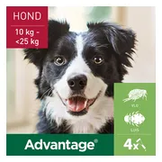 2x Advantage Anti Vlooiendruppels 250 Hond 10 - 25 kg 4 pipetten