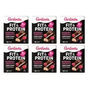 6x Gerlinea Repen Framboos & Chocolade 10x31 gr