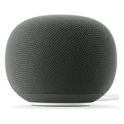 Google Home Speaker Grijs