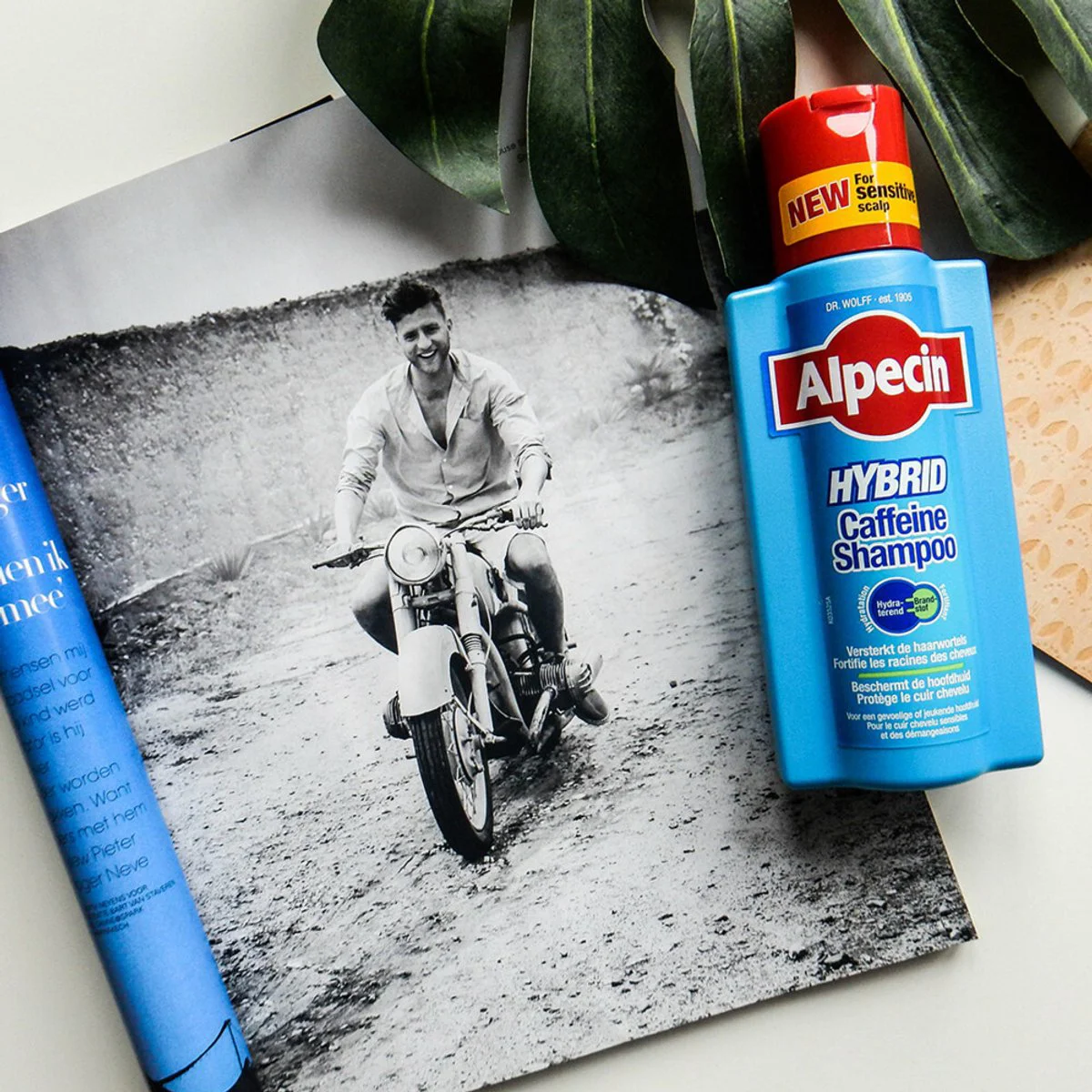 3x Alpecin Shampoo Hybrid Caffeine 250 ml