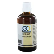 GO Gemmo Oplossingen Sequoia Gigantea 100ML