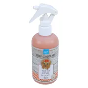 Lief! Conditioner Spray 250 ml