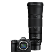 Nikon Z6 III + Nikkor Z 180-600mm f/5.6-6.3
