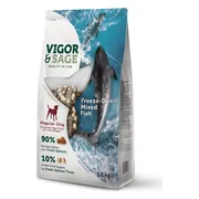 4x Vigor & Sage Hondenvoer Droog Adult Regular Freeze-Dried Mixed Fish 1,2 kg