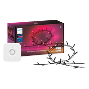 Philips Hue Festavia lichtsnoer - 20 meter + Bewegingssensor