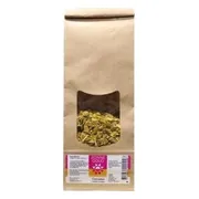 Zonnegoud Curcuma Thee 100GR