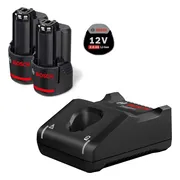 Bosch Professional Starterset 2x GBA 12V Accu 2.0Ah + Snellader GAL 12V-40 - 1600A019R8