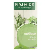 Piramide Biologische Citroenmelisse Thee 20ZK