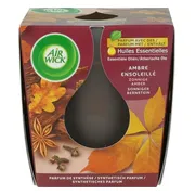 Air Wick Geurkaars Amber Sunshine 105 gr