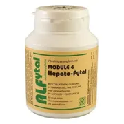 Alfytal Hepato Fytal Vegetarische Capsules 90VCP